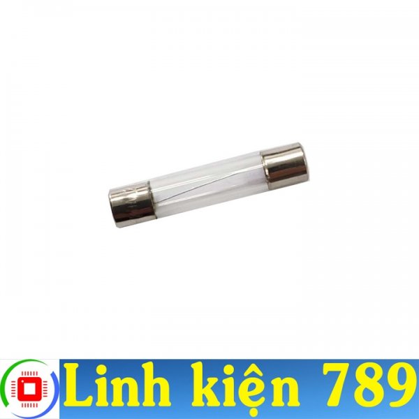  Cầu chì 20A 250V 6x30mm